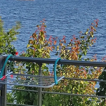 別荘 ζωη στο κυμα- Life On The Wave *