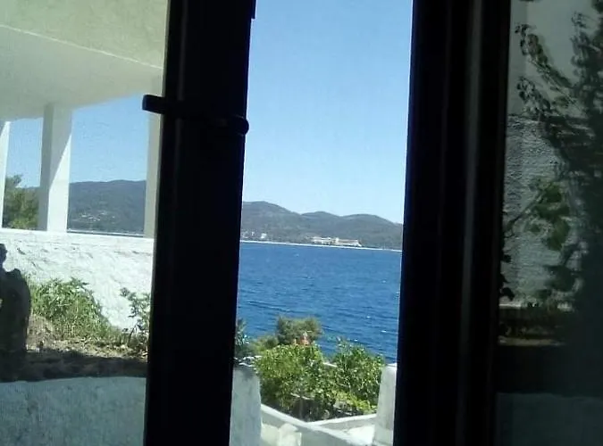 ζωη στο κυμα- Life On The Wave