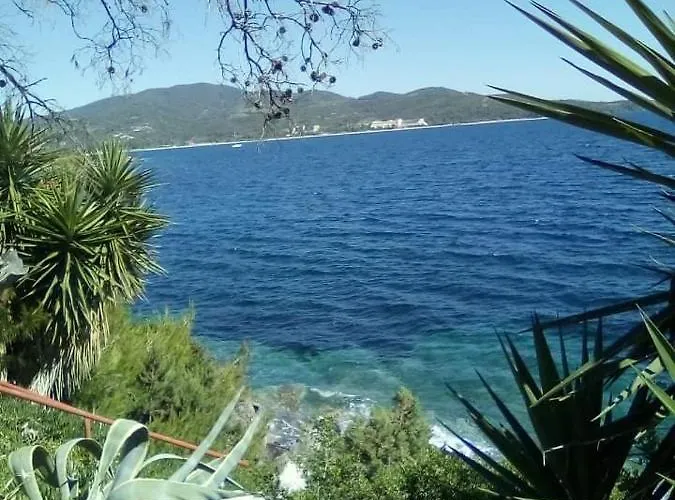 ζωη στο κυμα- Life On The Wave Nyaraló Néosz Marmarász
